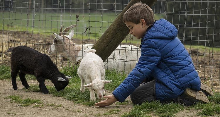 turismo rural con niños