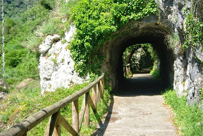 senda del oso asturias